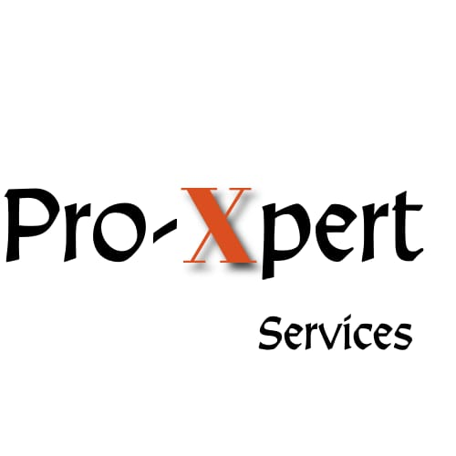 ProExpert Solar logo